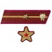 БРИГАДНЫЙ КОМИССАР, БРИГВРАЧ, БРИГВЕТВРАЧ, БРИГВОЕНЮРИСТ войск НКВД, петлицы и нарукавные знаки обр. 1935/36 г..